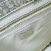 Dior Book Tote24 Midsize with Leather Trim - Early Spring New Arrival