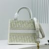 Dior Book Tote24 Early Spring New Arrival Small Size with Leather Trim