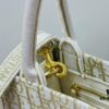 Dior Book Tote24 Early Spring New Arrival Small Size with Leather Trim