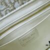 Dior Book Tote24 Early Spring New Arrival Small Size with Leather Trim