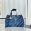 DIOR Toiletry Handbag, Medium Size, Denim Style