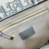 Gray D Leather Trim Small DIOR Book Tote 24 Early Spring New Arrival