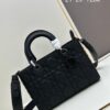 Large 29cm Dior Dior Lady Bag Large Size [Horizontal Version]