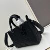Large 29cm Dior Dior Lady Bag Large Size [Horizontal Version]