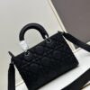 Large 29cm Dior Dior Lady Bag Large Size [Horizontal Version]