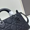 Large 29cm Dior Dior Lady Bag Large Size [Horizontal Version]
