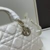 Large 29cm Dior Lady D-Lite My ABCDior Crossbody Bag [Horizontal Style]
