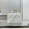 Dior Ange Handbag from the Fall 2024 Ready-to-Wear Collection