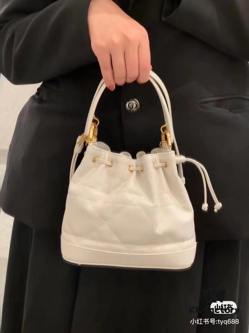 Dior Jolie Bucket Bag 2024 New Arrival