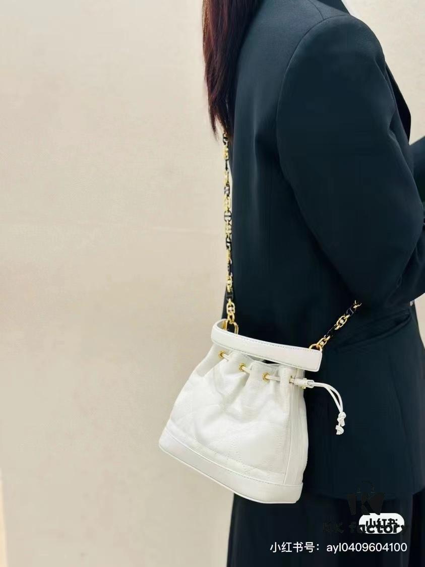 Dior Jolie Bucket Bag 2024 New Arrival
