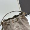 Dior Jolie Bucket Bag 2024 New Arrival