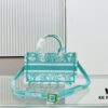Dior Book Tote 24 Spring/Summer New Arrival Mini Green Sun Head with Shoulder Strap