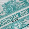 Dior Book Tote 24 Spring/Summer New Arrival Mini Green Sun Head with Shoulder Strap