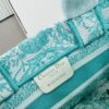 Dior Book Tote 24 Spring/Summer New Arrival Mini Green Sun Head with Shoulder Strap