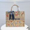 Large Dior Shopping Bag with Embroidery and Stitched Edging - Includes Silk Scarf, Limited Edition, Celebrity Style