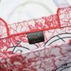 Large Size 🔥 Embroidered Edge Dior Shopping Tote – Official Store New Arrival, Limited Edition, Celebrity Style, Comes with Scarf