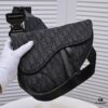 Dior Men's SADDLE Unisex Crossbody Bag / Chest Bag