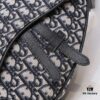 Dior Men's SADDLE Unisex Crossbody Bag / Chest Bag
