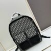 Dior 8 Backpack in Beige and Black Oblique Print