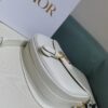 Dior 2023 New Arrival Full Leather Version Bobby Bag Early Autumn Vintage Style