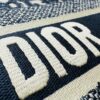 Dior Book Tote24 Early Spring New Arrival, Large Size, Vintage Blue