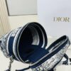 New Embroidered DiorTravel Cosmetic Pouch