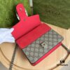 Authentic Shot #421970 Red Dionysus Series Bag
