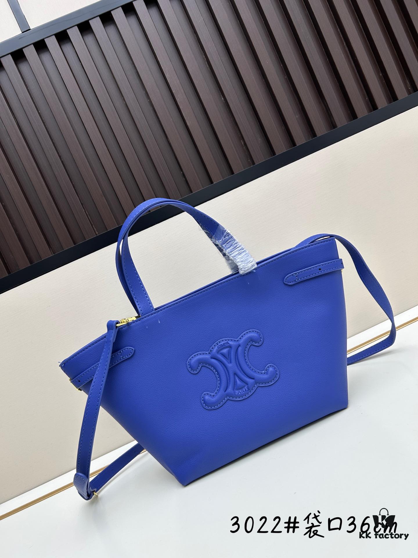 Celine Arc de Triomphe Tote Bag with Archway Gold Buckle