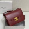 Celine Hand-Rubbed Grain Calfskin Triumph Arch Bag