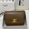 Celine Hand-Rubbed Grain Calfskin Triumph Arch Bag
