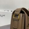 Celine Hand-Rubbed Grain Calfskin Triumph Arch Bag