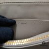 Crinkled Calfskin Celine 2024 New Triumph Handbag