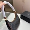 Celine Underarm Moon Bag