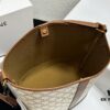 Celine Large Triomphe Canvas Nano Bucket Bag with Signature Print