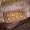 Prada Hobo Combo Raffia Woven Limited Edition Mini Bag 2429