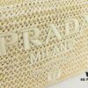 Prada New Raffia Camera Bag Model 2376
