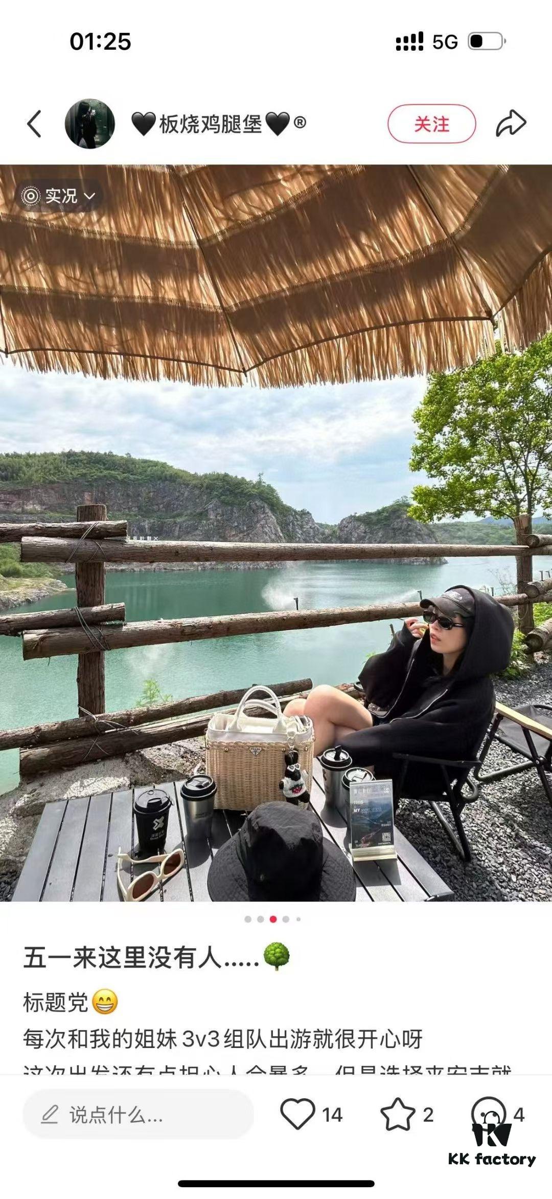 Prada-Inspired Palm Leaf and Leather Woven Tote Bag – Vacation-Ready Fashion, Handheld or Shoulder Carry