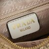 Prada Woven Straw Hobo Bag with Box