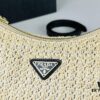 Prada Woven Hobo Bag with Box