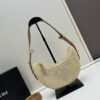 Prada Woven Hobo Bag with Box