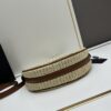 Prada Woven Straw Hobo Bag with Box
