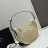 Prada Woven Hobo Bag with Box