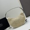 Prada Woven Hobo Bag with Box