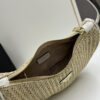 Prada Woven Hobo Bag with Box