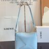 LOEWE Luna Bag with Gift Box 🎁