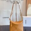 LOEWE Luna Bag with Gift Box 🎁