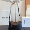 LOEWE Luna Bag with Gift Box 🎁