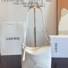 LOEWE Luna Bag with Gift Box 🎁