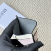 Loewe New Arrival Card Holder Restock!