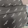New Arrival BALENCIAGA Paris Fashion Backpack, High-Quality Screen-Printed Cotton Canvas Bag with Zippered Front Compartment